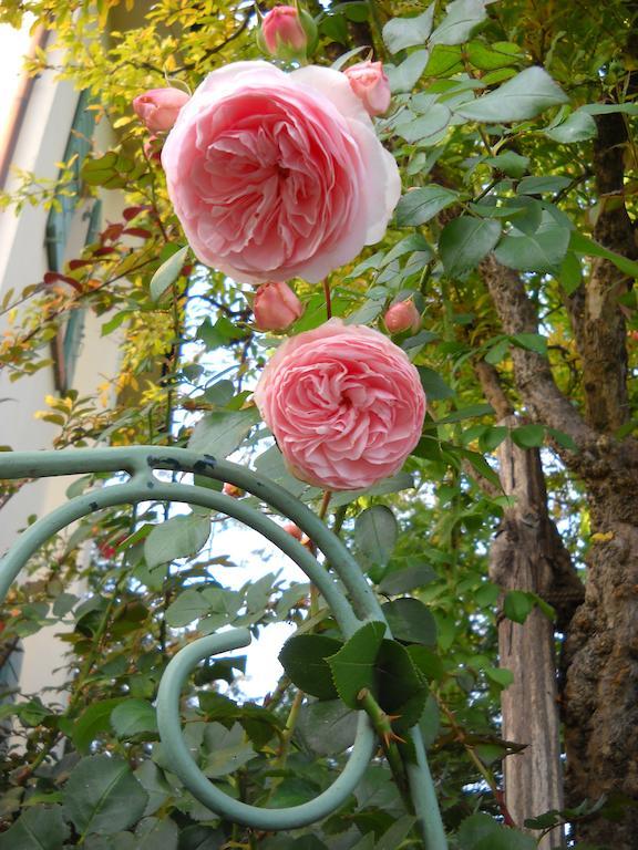 Willa La Casa Del Giardiniere Zero Branco Zewnętrze zdjęcie