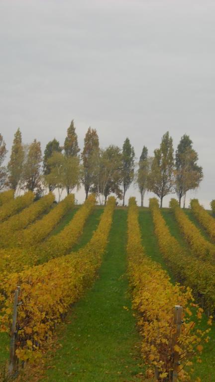 Willa La Casa Del Giardiniere Zero Branco Zewnętrze zdjęcie